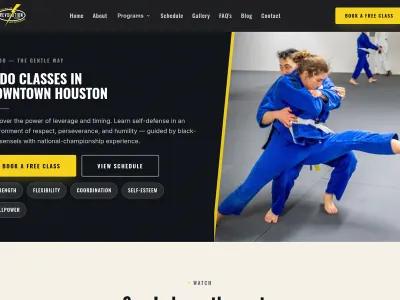 Revolution Dojo Houston
