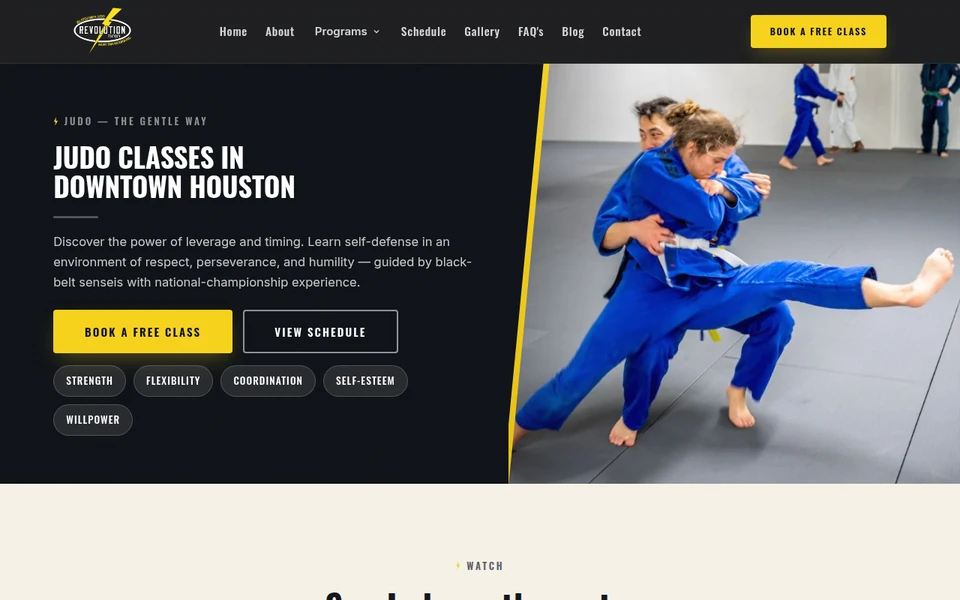 Photo of Revolution Dojo Houston