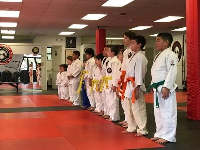 Team Combat Judo